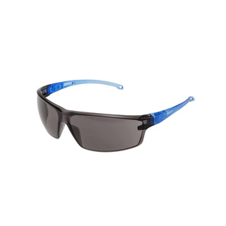 WORKWEAR, SAFETY & CORPORATE CLOTHING SPECIALISTS - Hawk Blue Frame Smoke H/C Lens